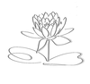 Lotus Logo Black Grayshadow Flower Only Image